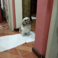 /album/para-ver-e-ler/anita-filha-de-magda-e-minha-afilhada-jpg/
